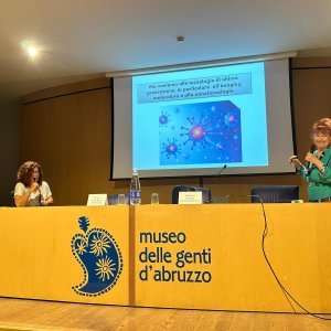 2. cardone e gualdambrini